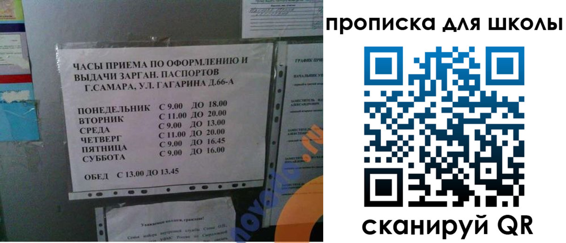 где прописаться в Козельске